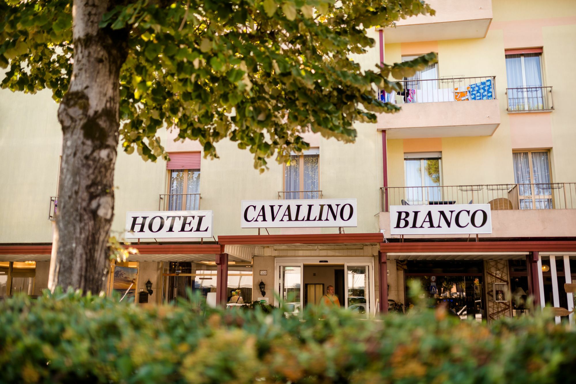 Hotel Cavallino Bianco Екстериор снимка
